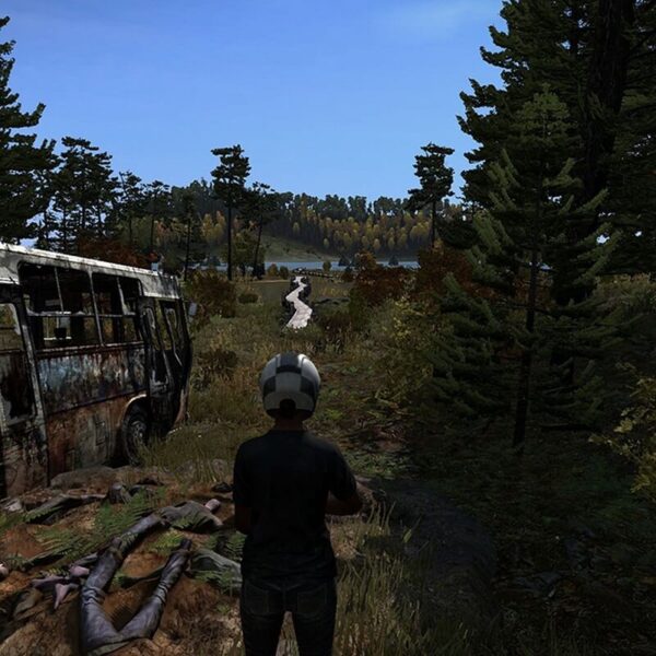DayZ - Steam ключ