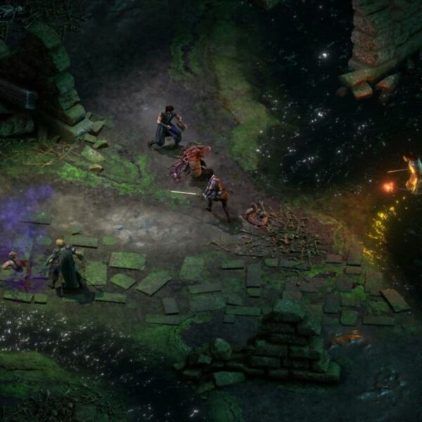 Pillars of Eternity II: Deadfire - Steam ключ