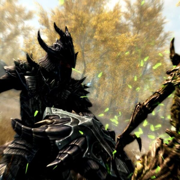 The Elder Scrolls V: Skyrim Special Edition - Steam ключ