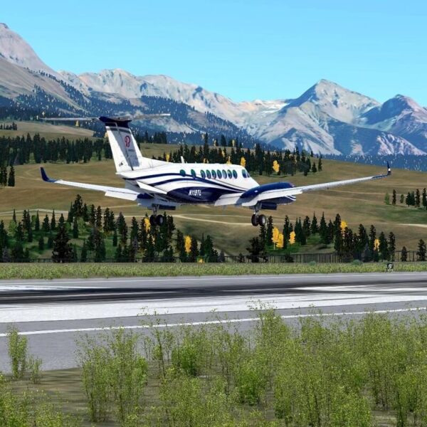 X-Plane 12 - Steam ключ